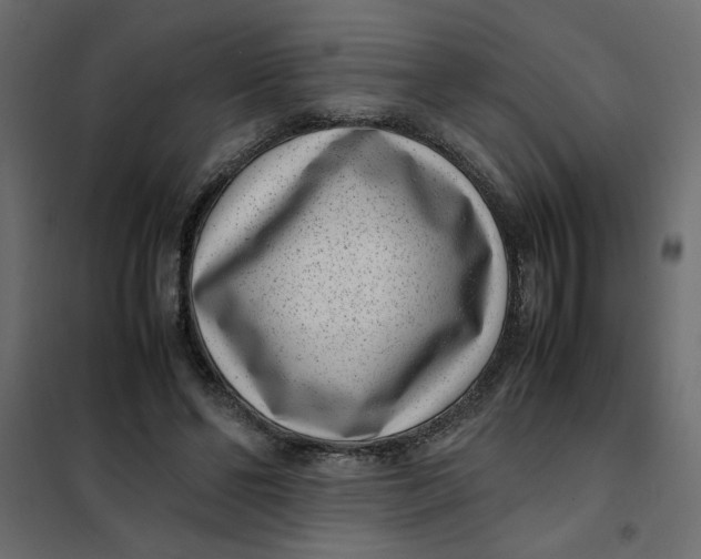 X0000101990494200808081639