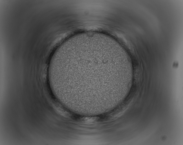 X0000101990495200808081639