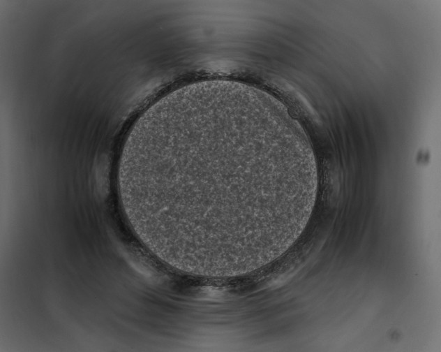 X0000101990496200808081639