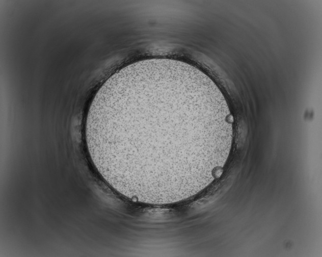 X0000101990497200808081639