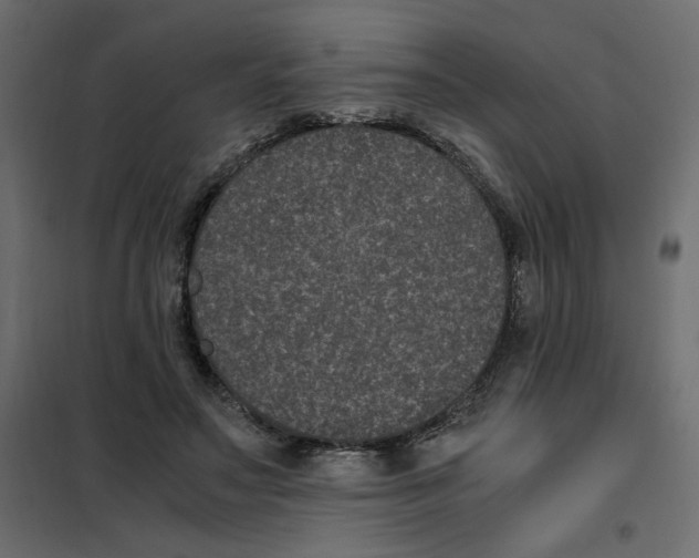 X0000101990499200808081639