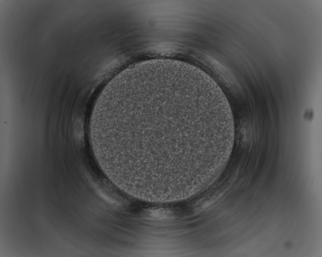 X0000101990500200808081639