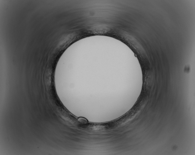 X0000101990501200808081639