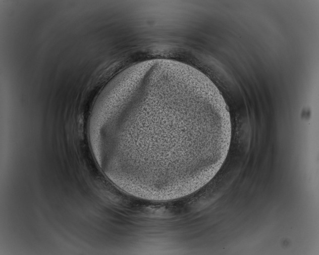 X0000101990502200808081639