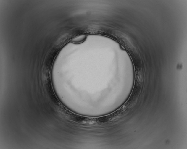 X0000101990503200808081639