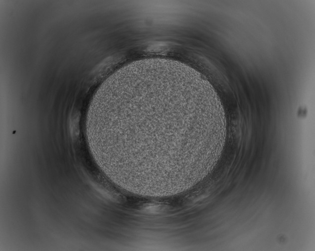 X0000101990504200808081639