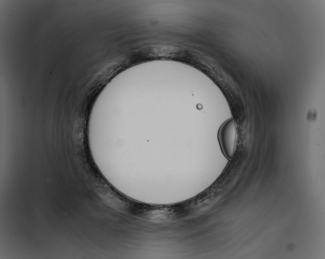 X0000101990505200808081639