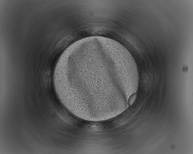 X0000101990506200808081639