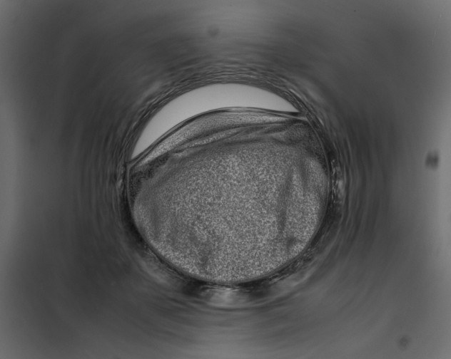 X0000101990507200808081639