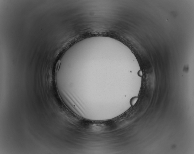 X0000101990508200808081639