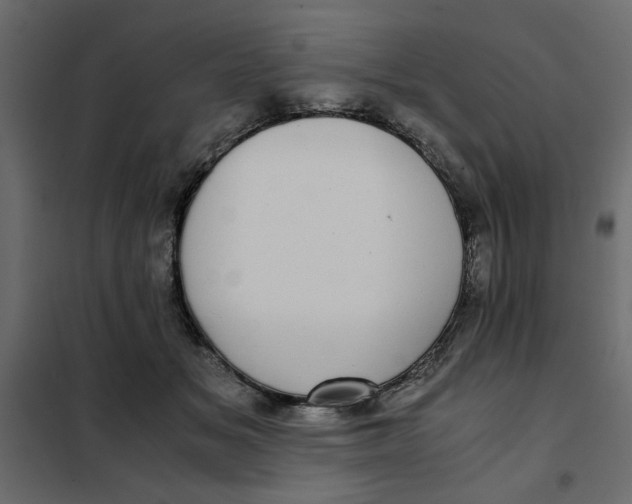 X0000101990509200808081639