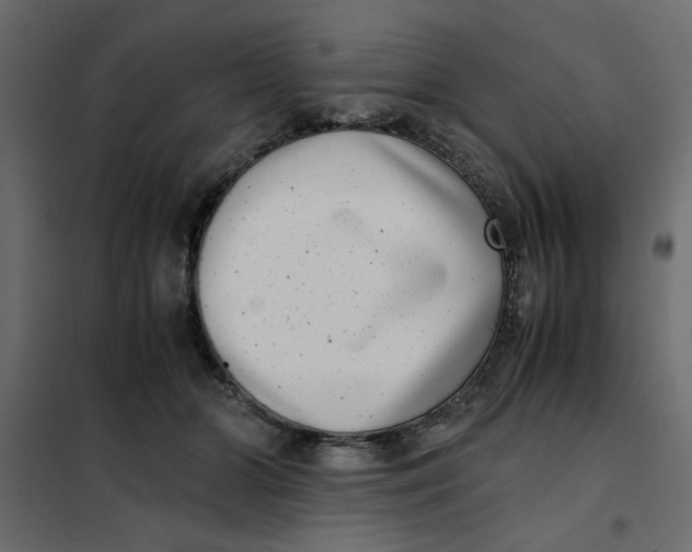 X0000101990510200808081639