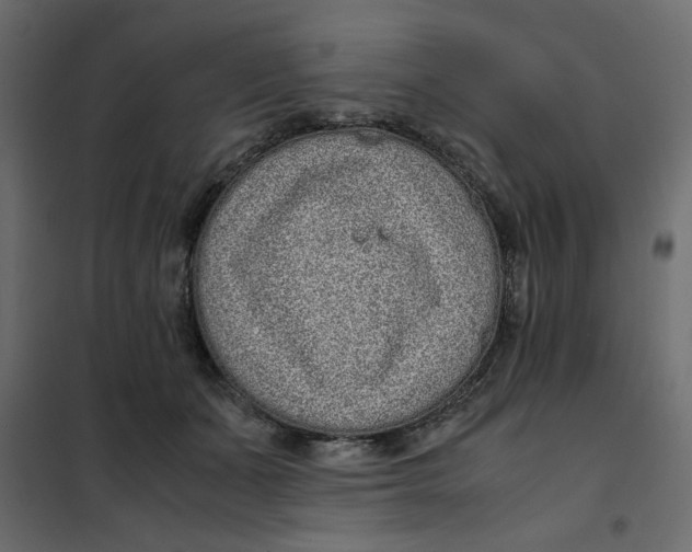 X0000101990511200808081639