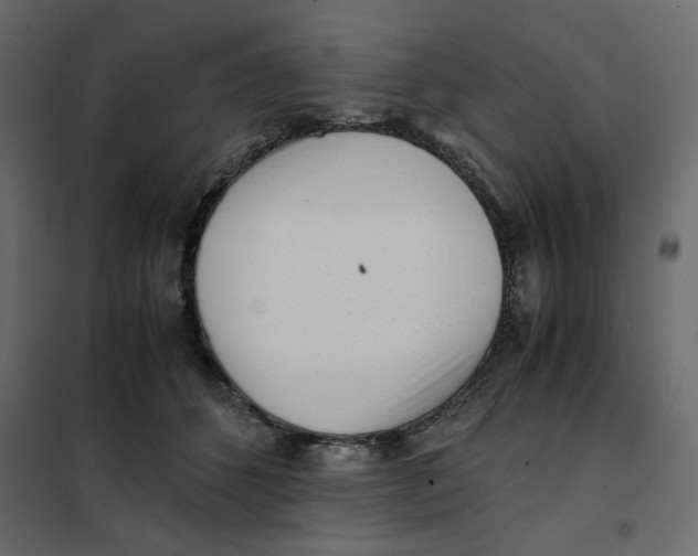 X0000101990512200808081639