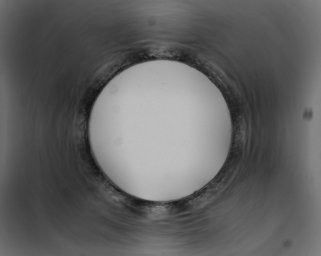 X0000101990513200808081639