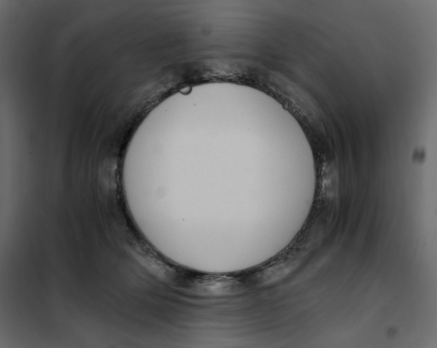 X0000101990514200808081639