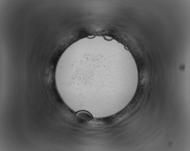 X0000101990515200808081639