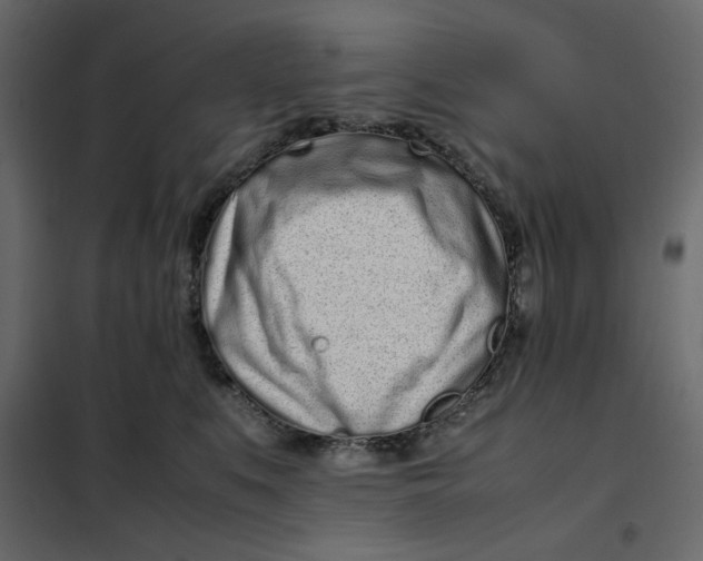 X0000101990519200808081639