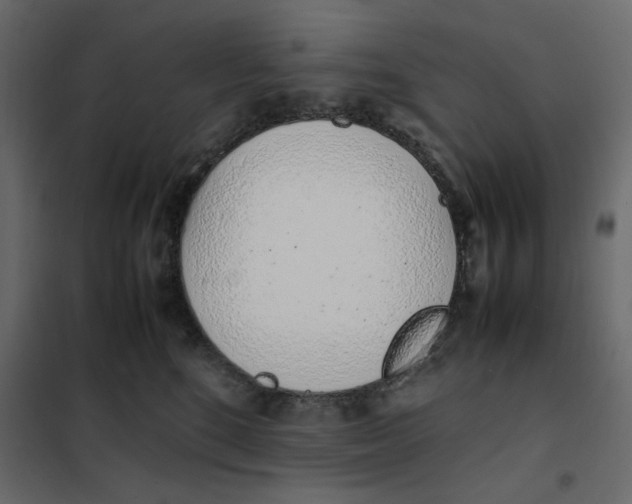 X0000101990520200808081639