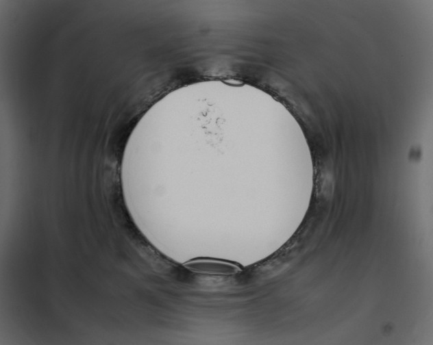 X0000101990521200808081639