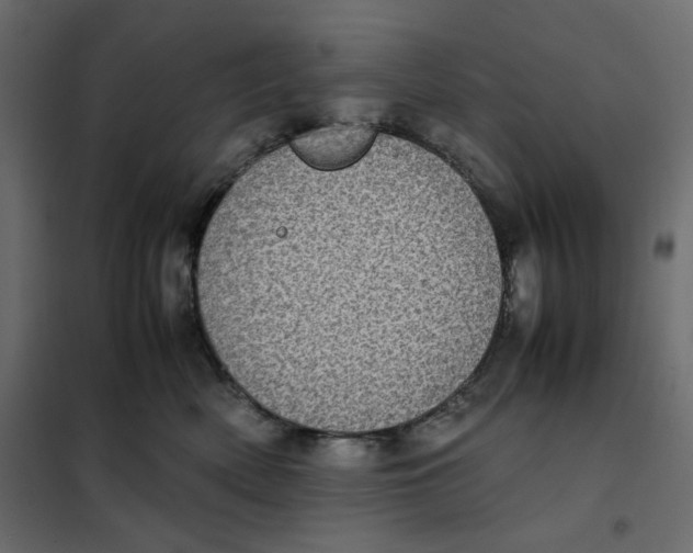 X0000101990522200808081639