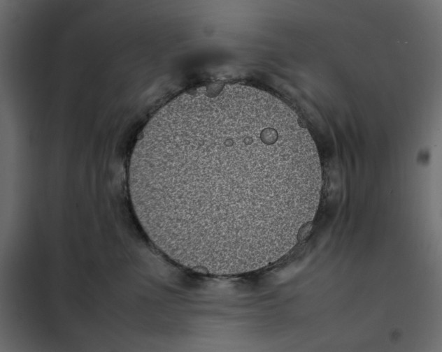 X0000101990523200808081639