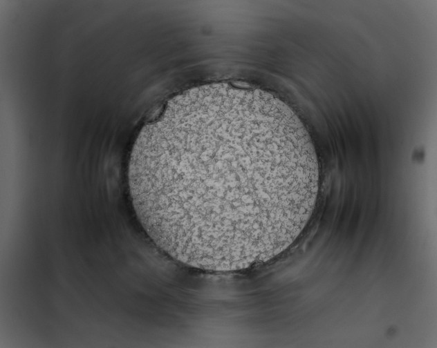 X0000101990524200808081639