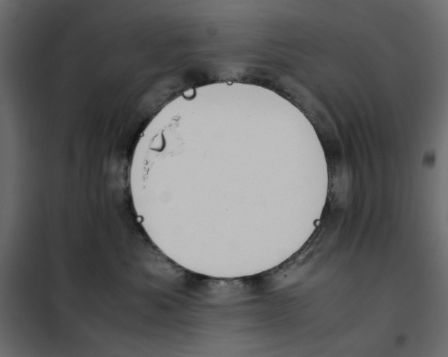 X0000101990525200808081639