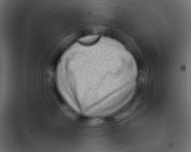 X0000101990527200808081639