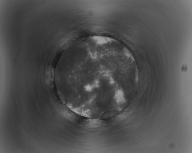 X0000101990528200808081639