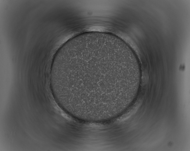 X0000101990529200808081638