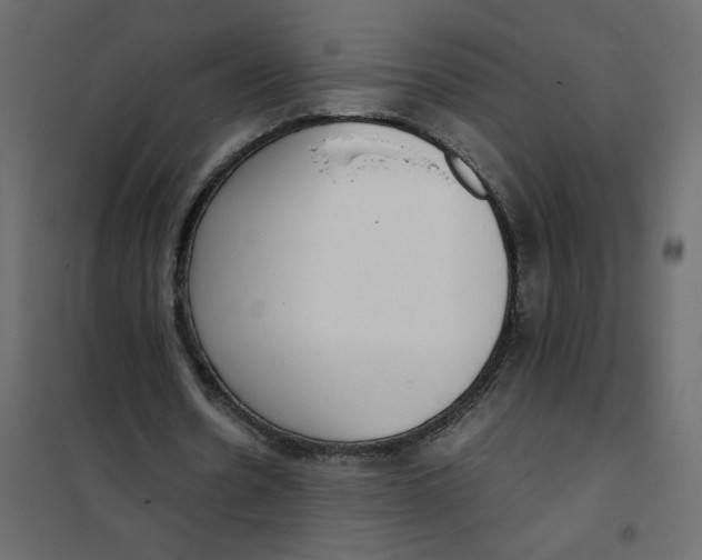 X0000101990530200808081638