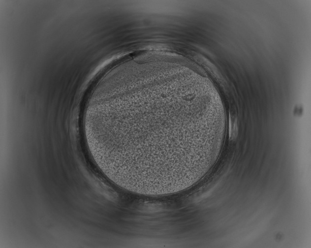 X0000101990531200808081638