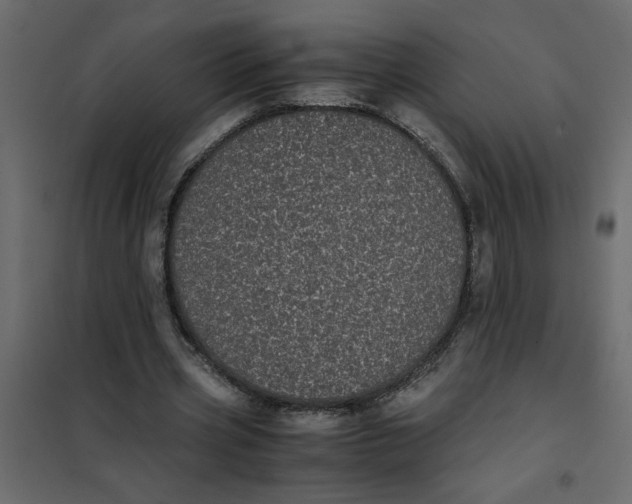 X0000101990533200808081638