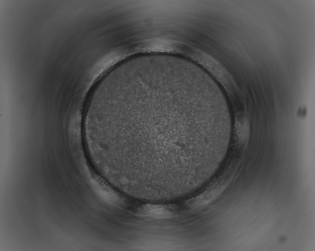 X0000101990534200808081638