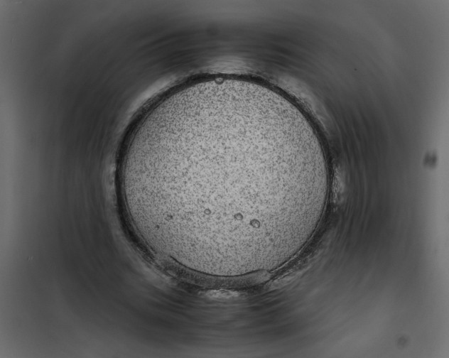 X0000101990535200808081638