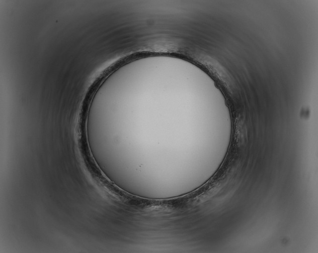 X0000101990536200808081638