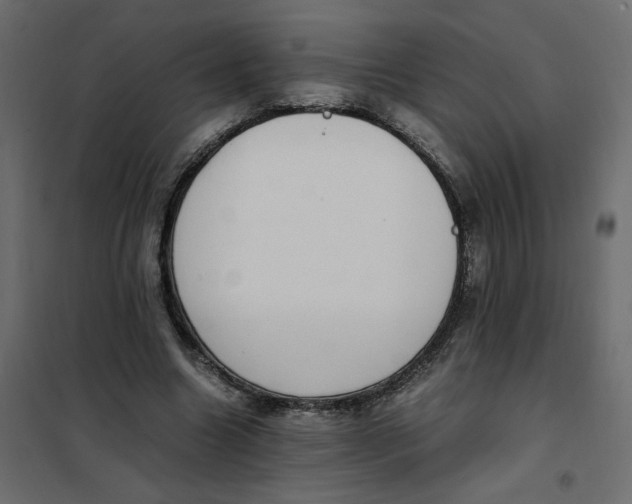 X0000101990538200808081638