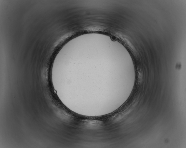 X0000101990539200808081638