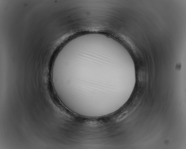 X0000101990540200808081638