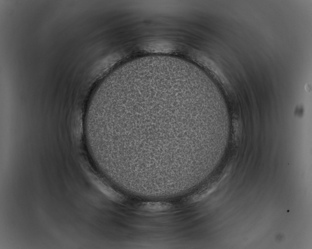 X0000101990541200808081638