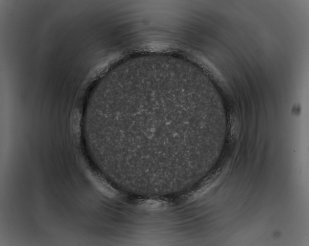 X0000101990542200808081638