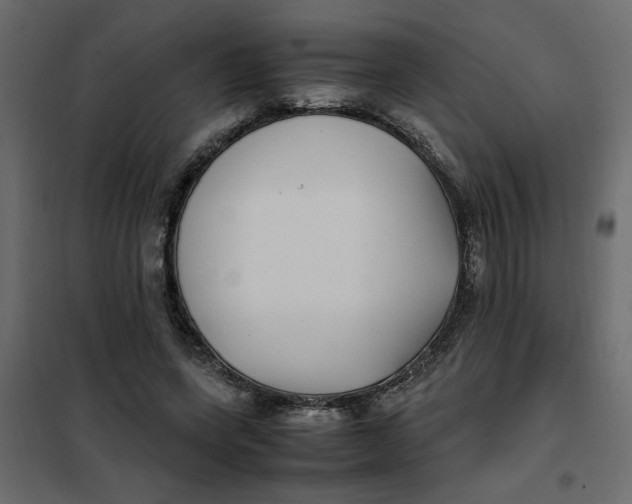 X0000101990543200808081638