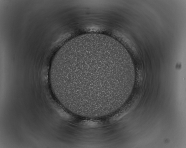 X0000101990545200808081638