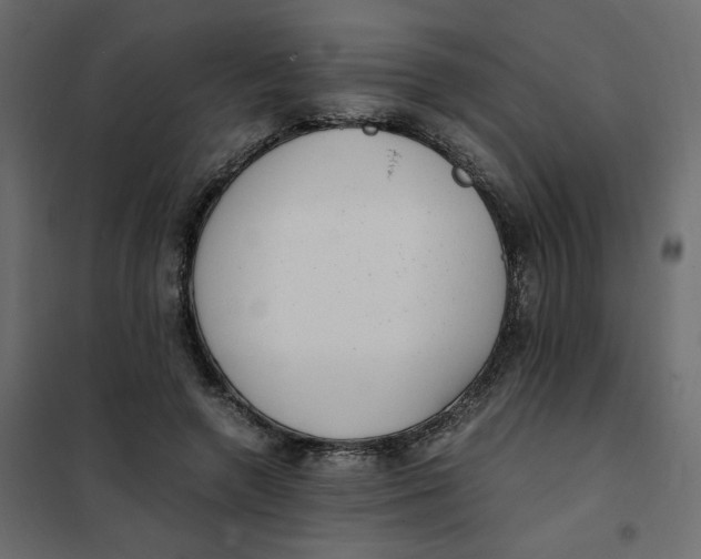 X0000101990546200808081638