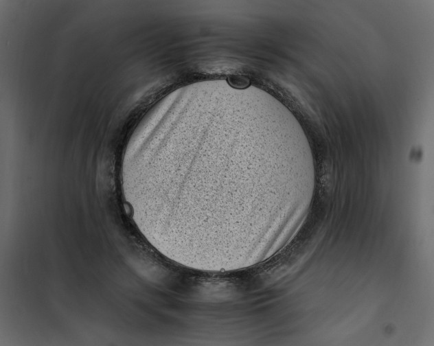 X0000101990547200808081638