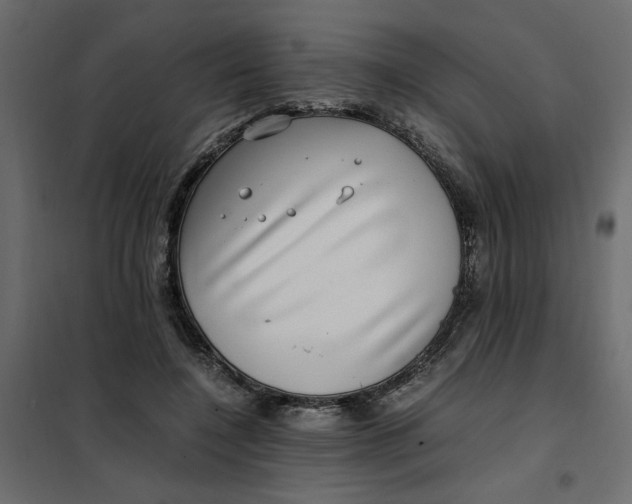 X0000101990548200808081638