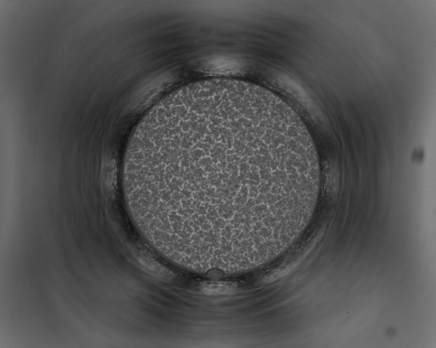 X0000101990549200808081638