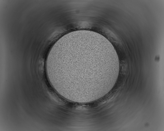 X0000101990550200808081638