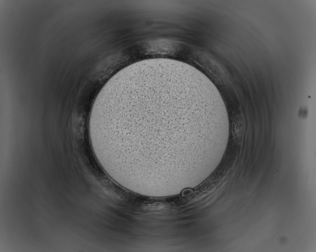 X0000101990551200808081638